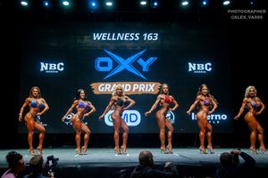 WELLNESS 163